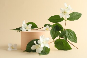 Beautiful jasmine flowers with leaves on beige background