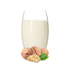 Nut milk in glass and walnuts isolated on white