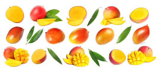 Tasty fresh mango fruits and green leaves on white background, collage