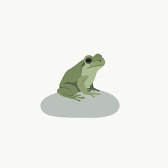Green frog sitting on a smooth surface, with a minimalist background highlighting its features