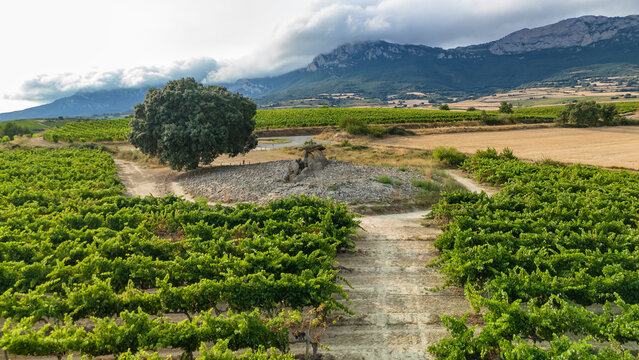 Aerial view of the Sorginaren Txabola dolmen in Spain