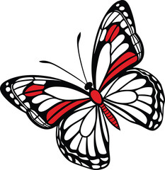 Colorful butterfly with intricate wings landing delicately on a bright flower in nature, illustrating spring's beauty