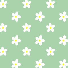 White Daisy Flower Pattern on Green Background