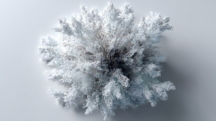Detailed cluster of white and gray crystalline formations.