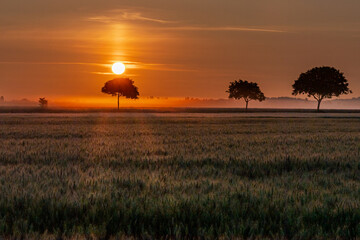 Lever du soleil &agrave; Fontainebleau 