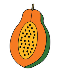 Hand-drawn Papaya Fruit Outline