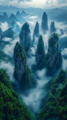 Zhangjiajie mountain forest covered with fog high resolution picture