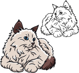 Birman cat vector