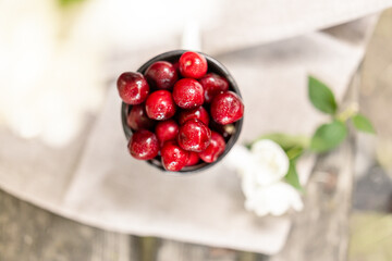 Top view of a white mug filled with cherries next to a fragrant jasmine bouquet. Sunny summer scene with floral accents and slow living aesthetic.