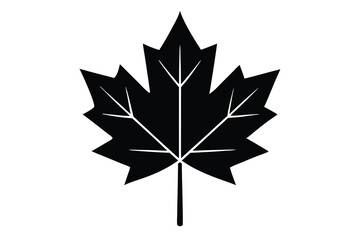 Obraz premium Silhouette of a Distinctive Maple Leaf with Veins on a White Background