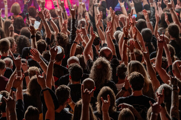 Audience at a live concert