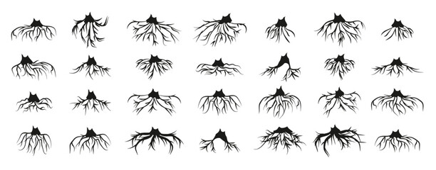 Tree roots silhouette collection. Set of black tree roots silhouettes. Tree root logo collection. Vector illustration
