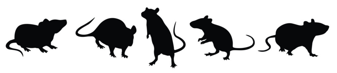 A set of Rat silhouette black color in different sitting and standing style, side pose and playing. Vector