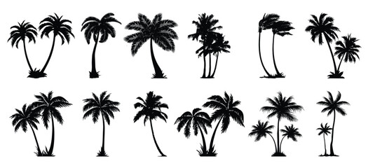 palm tree vector set silhouette 