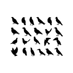 silhouettes of birds , A collection of twenty three black bird silhouettes on a white background