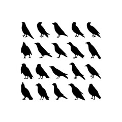 silhouettes of birds , Silhouette illustration of a group of black birds arranged in a pattern