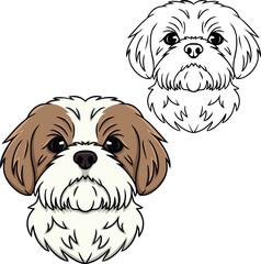 Shih tzu dog vector