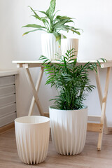 two white planters with plants on the floor