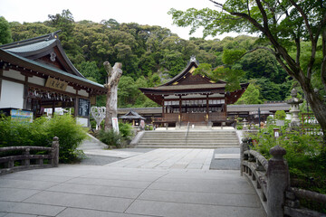 Fototapeta premium 松尾大社 境内 京都市西京区