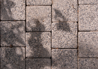 road made of square stone blocks with pebbles, in the shade of trees, copy space