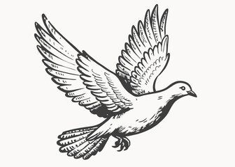 White pigeon bird vintage style Minimalist concept vector illustration
