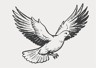 White pigeon bird vintage style Minimalist concept vector illustration