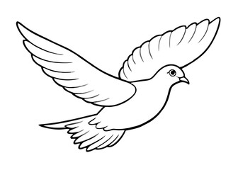 Flying dove, drawing, engraving, ink, line art, vector cartoon illustration