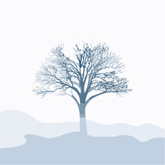 Obraz premium solitary tree in winter