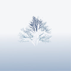 Obraz premium solitary tree in winter