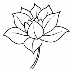 A vector of a hand drowns lily flower design outline