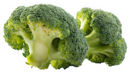 Fresh Broccoli Florets