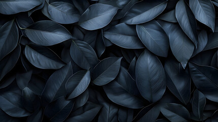 Obraz premium Closeup tropical black leaves texture and dark tone process