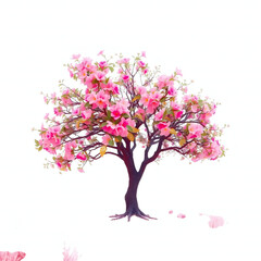 Fototapeta premium pink cherry tree isolated