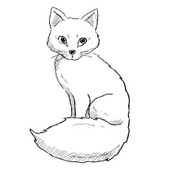 Cartoon sketch illustration of an arctic fox with light and elegant lines. Drawing for winter, wildlife and minimalist themes