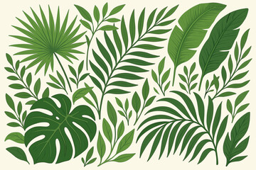 Set of green tropical leaves. Vector collection of exotic jungle foliage. Monstera, palm, banana leaf botanical illustration. Summer nature elements for design, pattern, background.