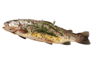 Seasoned Whole Rainbow Trout Ready for Cooking