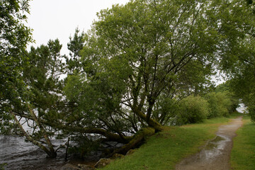 Paysage sous la pluie au lac  de Brennilis - Finistère Bretagne
