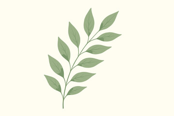 Fototapeta premium Elegant botanical leaf illustration. Hand-drawn green plant branch with textured foliage. Minimalist sprig isolated for organic, eco, wedding design or natural concept decoration.