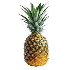 Fototapeta premium Fresh, ripe pineapple isolated on a white background, highlighting its sweet, tropical, and healthy appeal