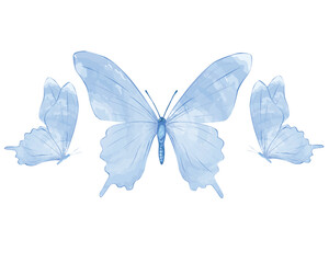 set of butterflies isolated on white	