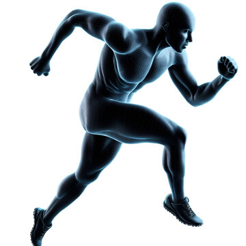 Human anatomy runner illustration fitness exercise sport health design on transparent background