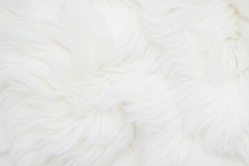 Obraz premium close up shot of a fluffy white fur background2