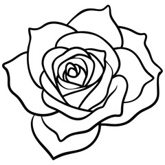 Elegant Minimal Rose Flower Vector Drawing in Black and White