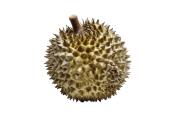 Durian fruit market display close-up