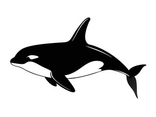 Fototapeta premium silhouette of a dolphin