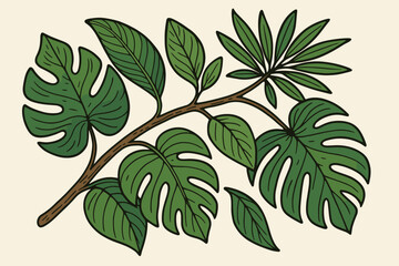 Tropical leaves branch illustration with Monstera deliciosa. Botanical vector art of jungle foliage. Exotic plant design element for summer decor, nature concept background.