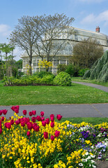 Colorful Spring Flowers at Dublin Botanic Gardens with Glasshouse in the Background