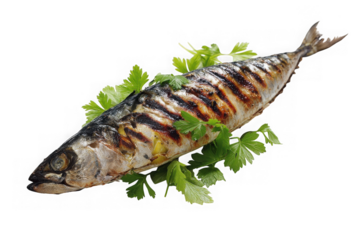 Grilled Mackerel with Fresh Parsley Garnish