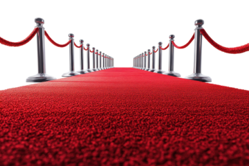 Red carpet pathway adorned with polished stanchions and velvet ropes, ready for a glamorous event or premiere on a bright white background