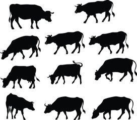 Minimalist Cow Silhouette on Open Field